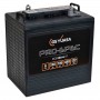 Yuasa GS Lead Acid Solar Batteries
